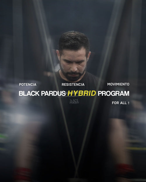Hybrid Program