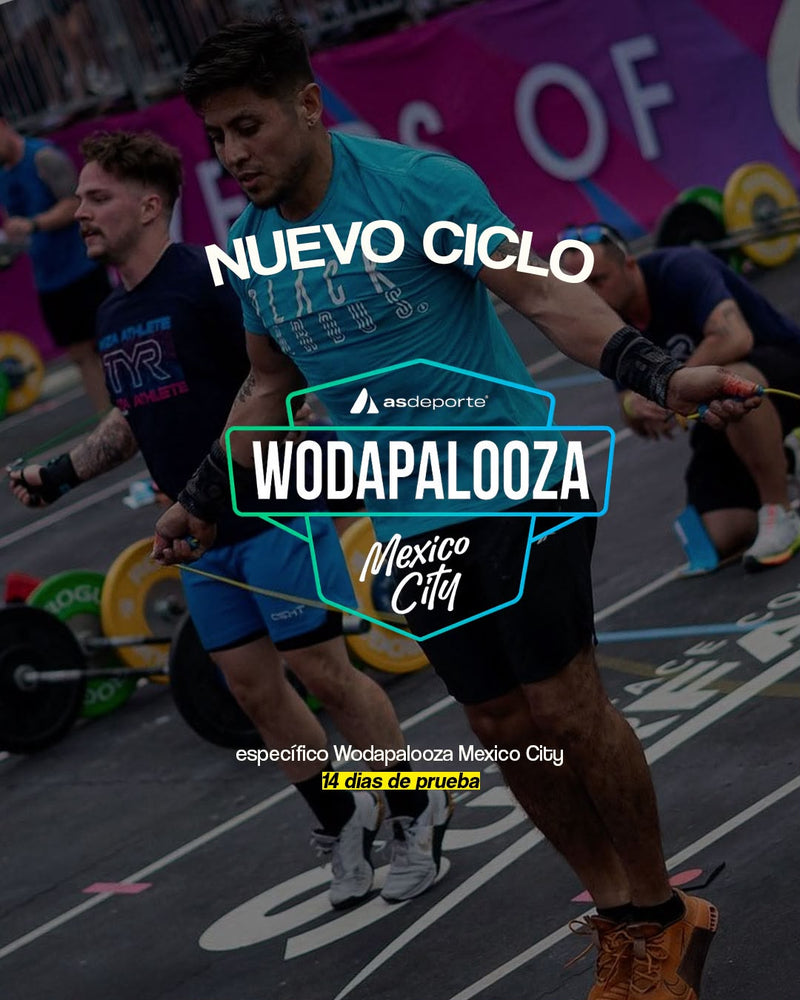 Wodapalooza Mexico City